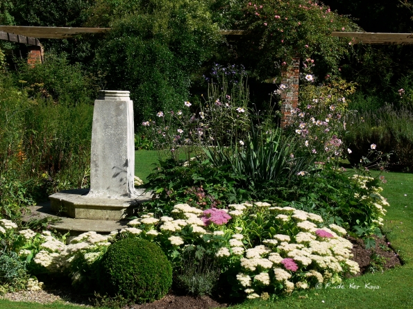 Bois des Moutiers  (30) Summer 2012